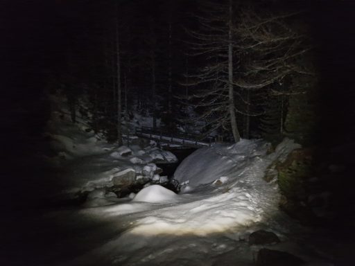 Le pont de bois